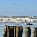 De Strandloper *
