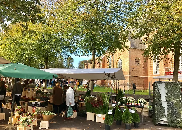 De Strandloper Lägenhet Bergen aan Zee