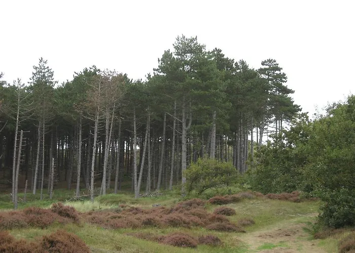 Apartman De Strandloper Bergen aan Zee