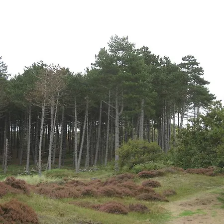 Appartement De Strandloper Bergen aan Zee