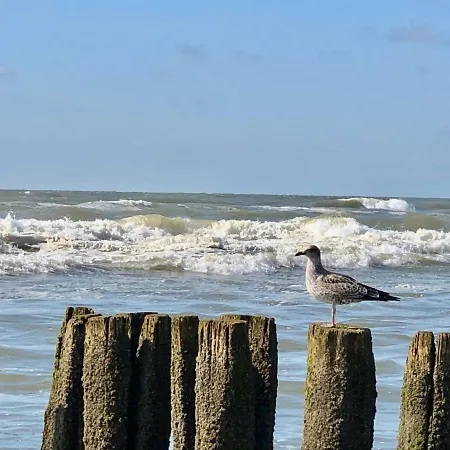 De Strandloper *