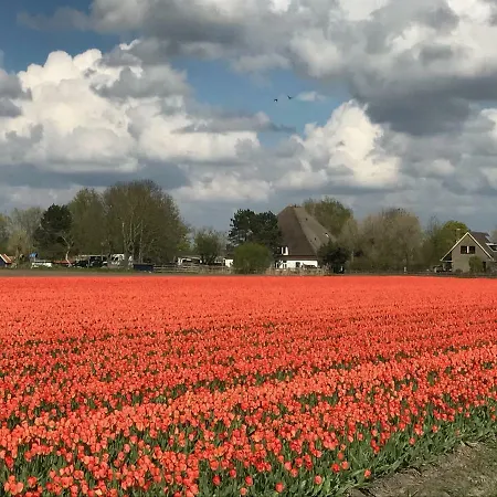 De Strandloper Appartement Bergen aan Zee