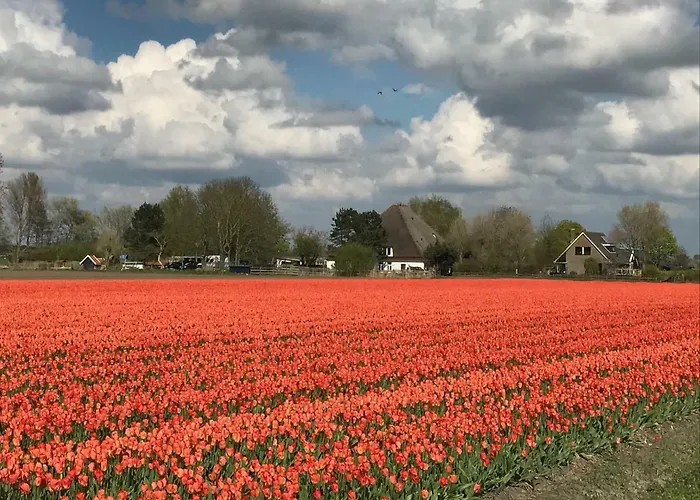 De Strandloper Διαμέρισμα Bergen aan Zee